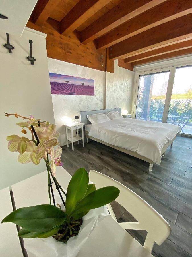 Agriturismo Albana Castiglione Delle Stiviere Εξωτερικό φωτογραφία