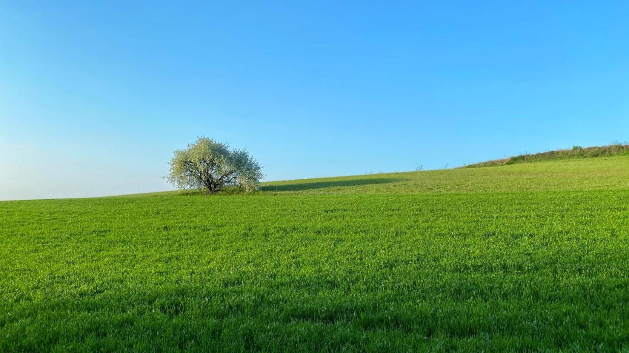 Agriturismo Albana Castiglione Delle Stiviere Εξωτερικό φωτογραφία