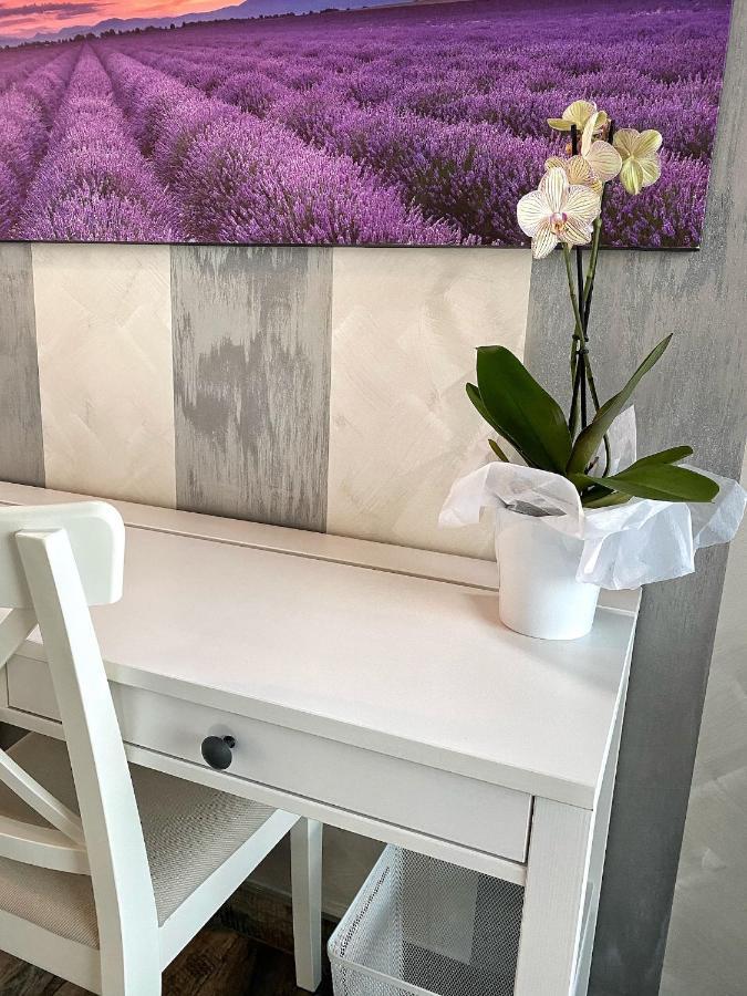 Agriturismo Albana Castiglione Delle Stiviere Εξωτερικό φωτογραφία