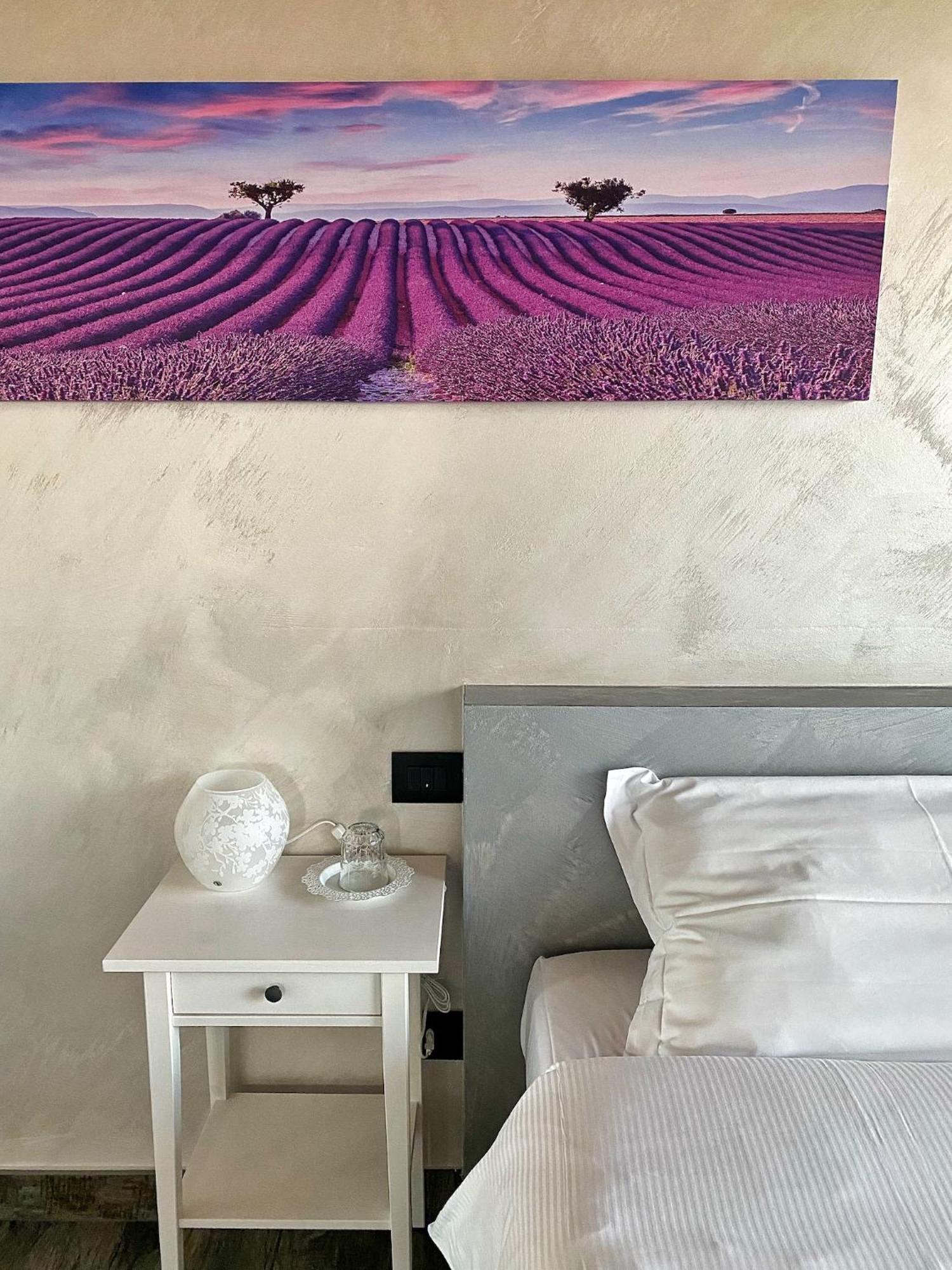 Agriturismo Albana Castiglione Delle Stiviere Εξωτερικό φωτογραφία