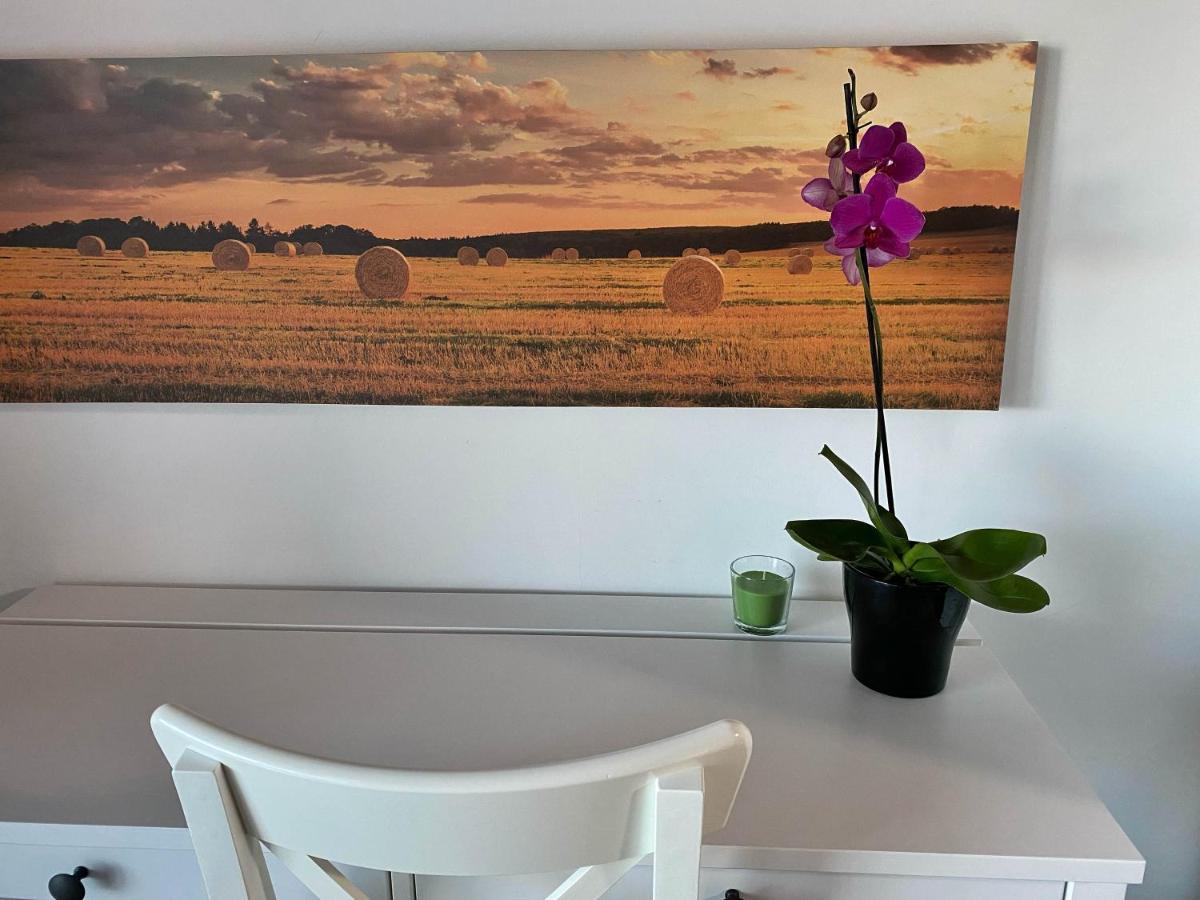 Agriturismo Albana Castiglione Delle Stiviere Εξωτερικό φωτογραφία