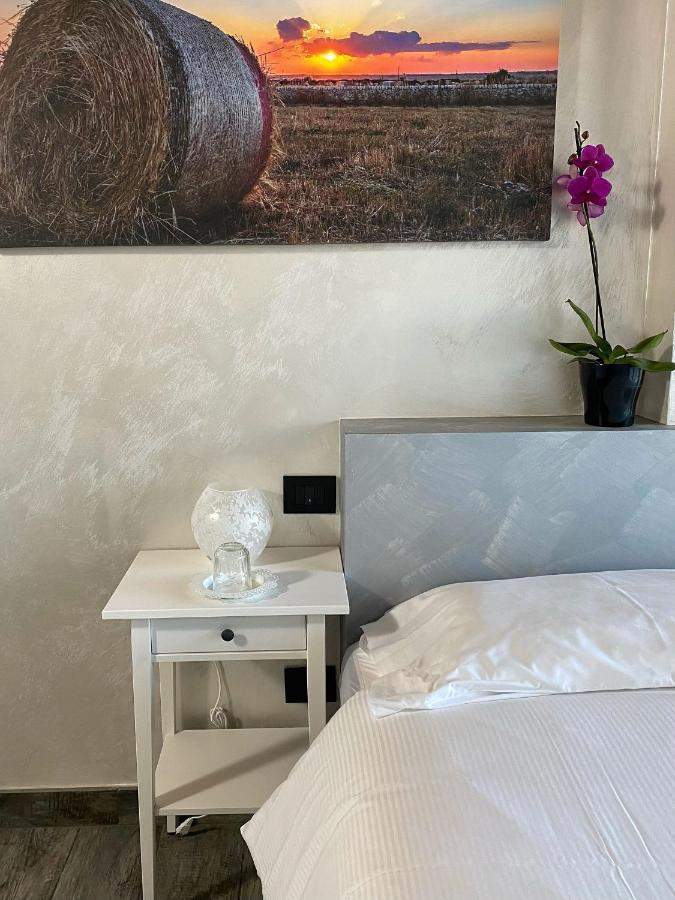 Agriturismo Albana Castiglione Delle Stiviere Εξωτερικό φωτογραφία